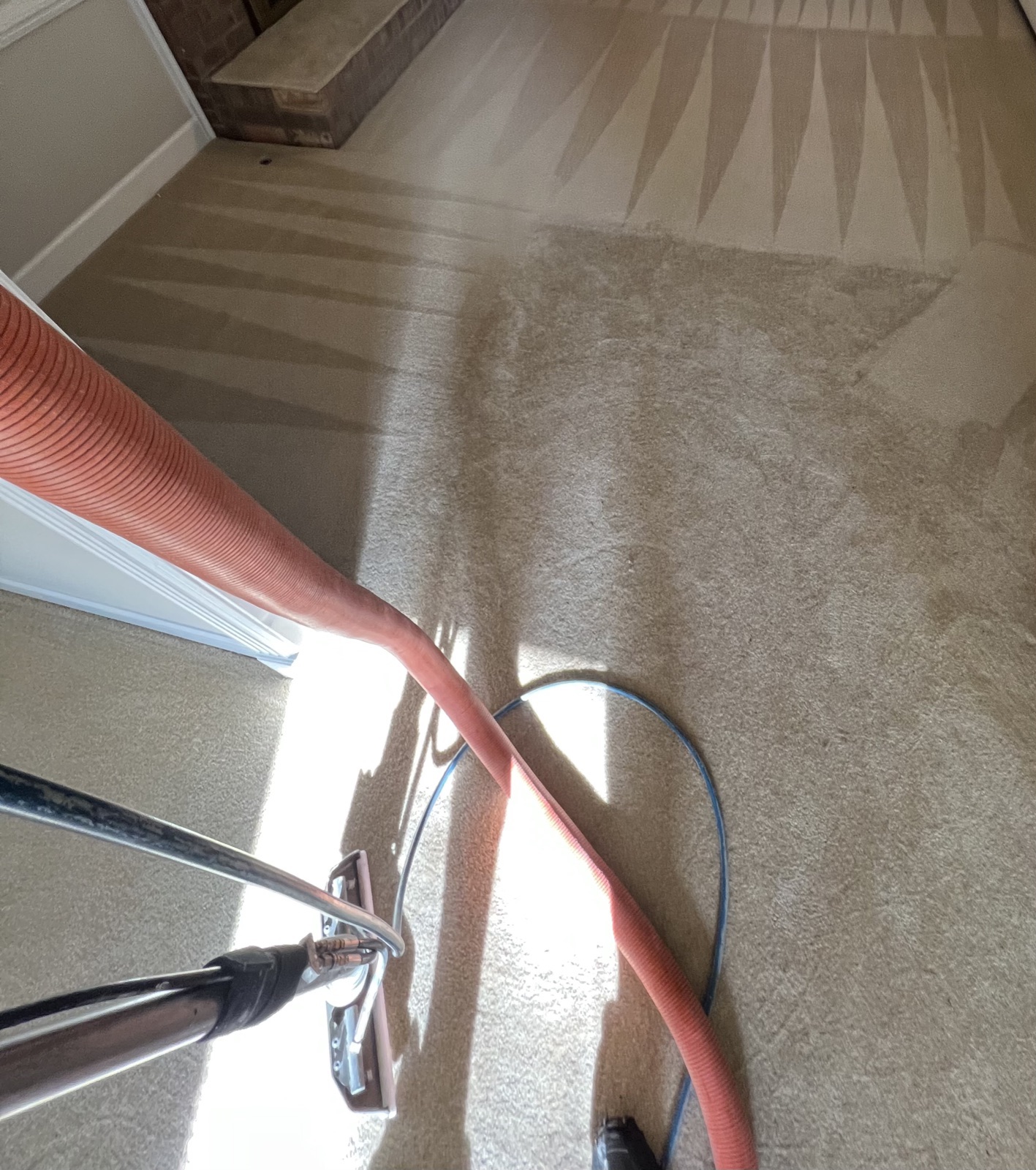 Fresh wand strokes appearing on a cream carpet mid-clean